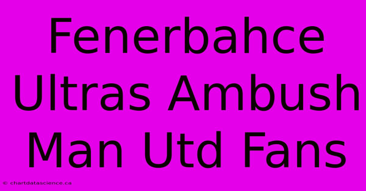 Fenerbahce Ultras Ambush Man Utd Fans