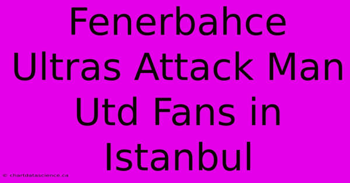 Fenerbahce Ultras Attack Man Utd Fans In Istanbul