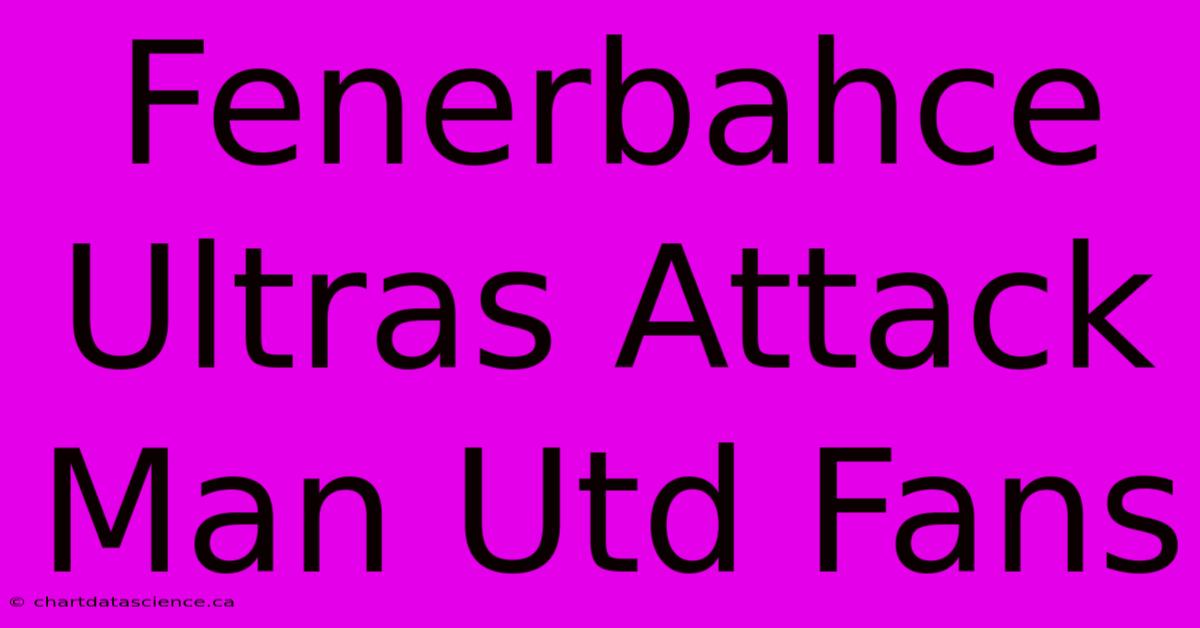 Fenerbahce Ultras Attack Man Utd Fans