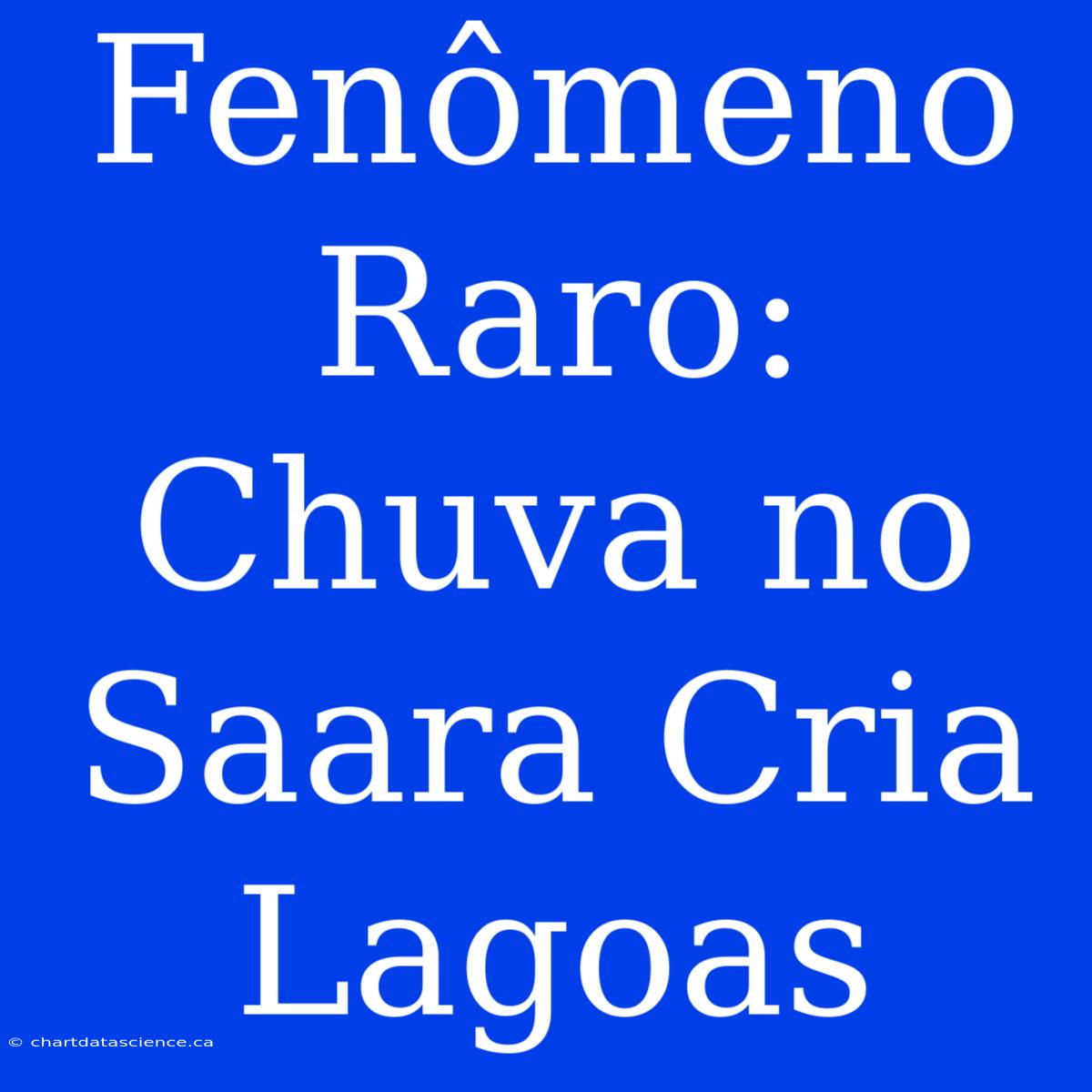 Fenômeno Raro: Chuva No Saara Cria Lagoas