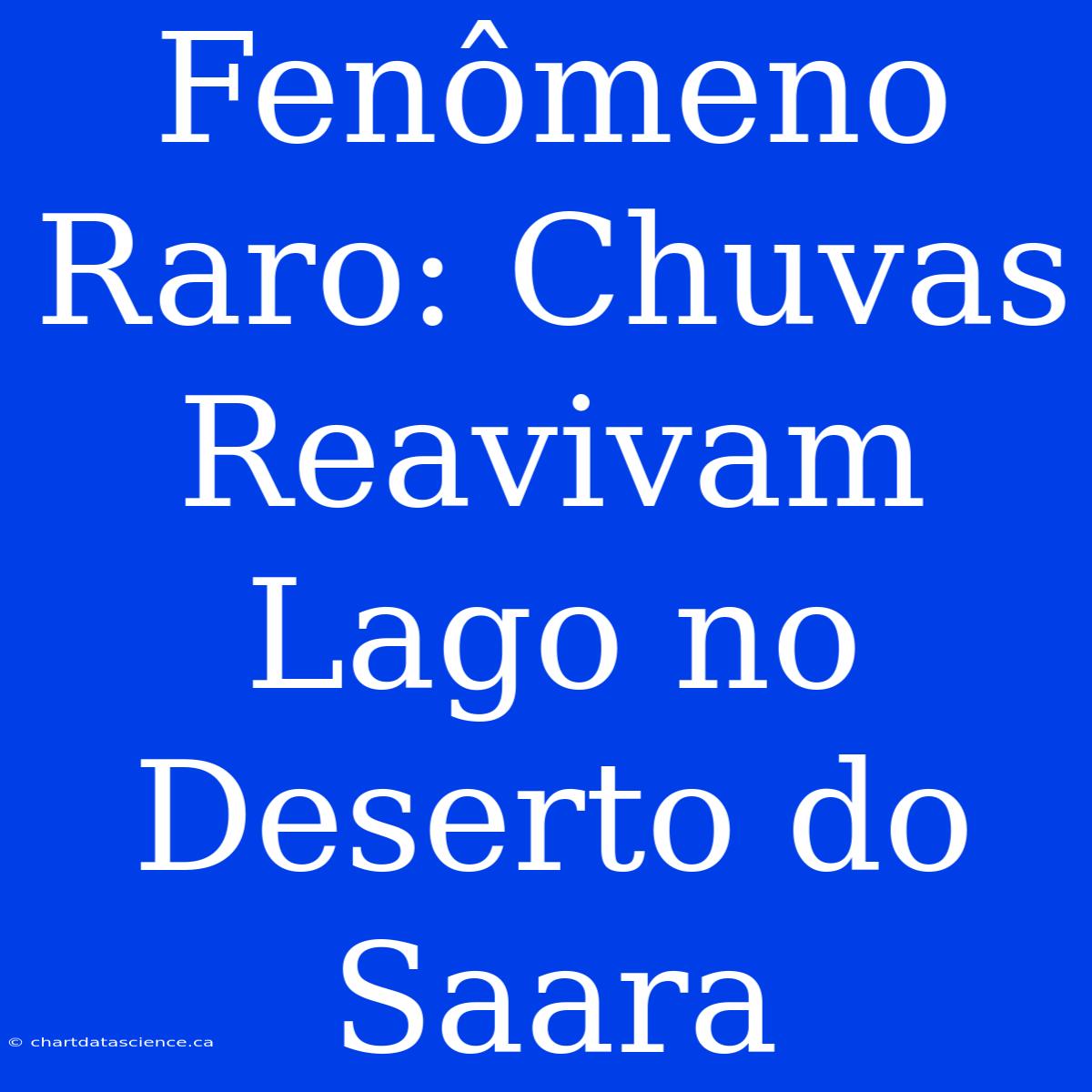 Fenômeno Raro: Chuvas Reavivam Lago No Deserto Do Saara