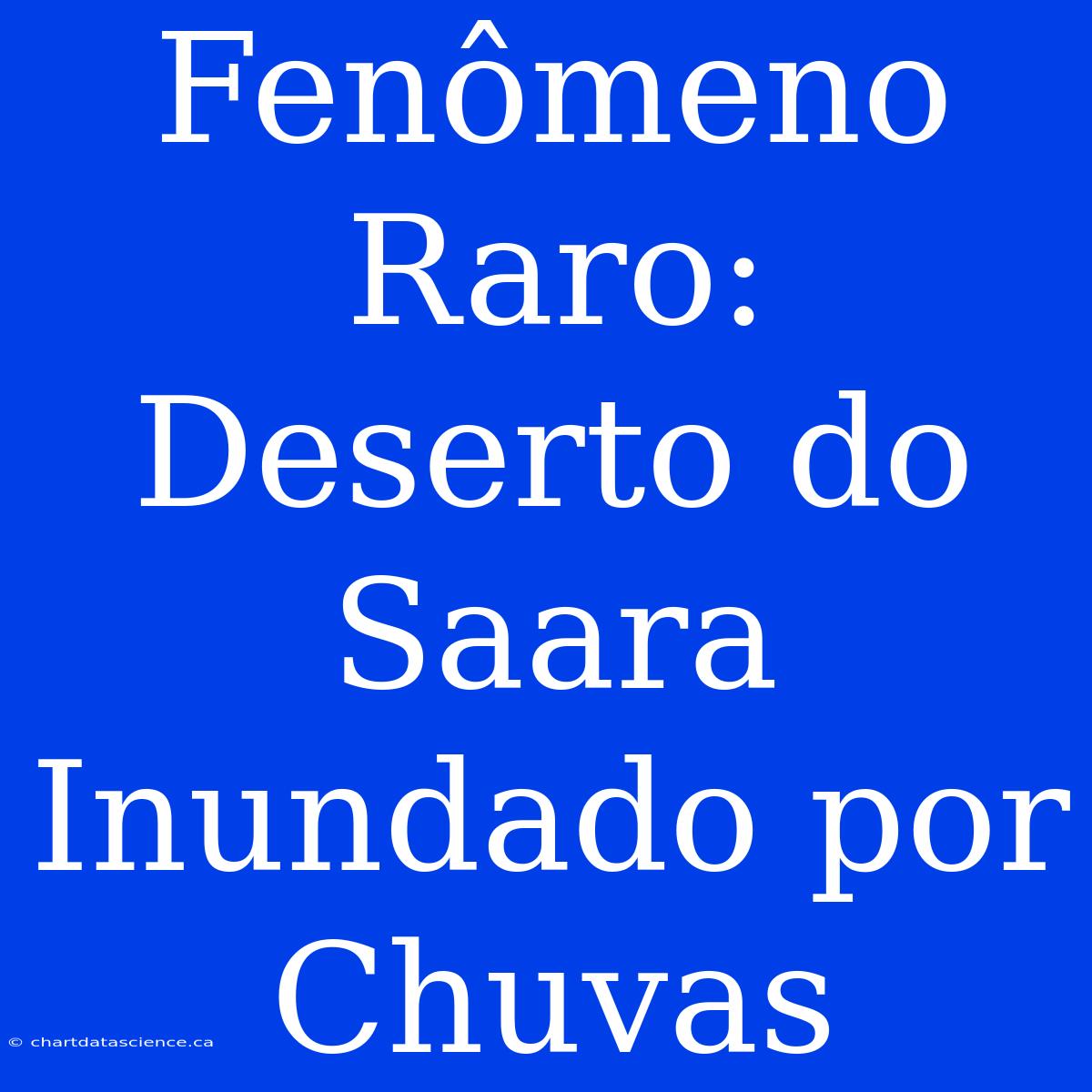 Fenômeno Raro: Deserto Do Saara Inundado Por Chuvas