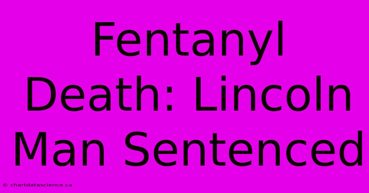 Fentanyl Death: Lincoln Man Sentenced