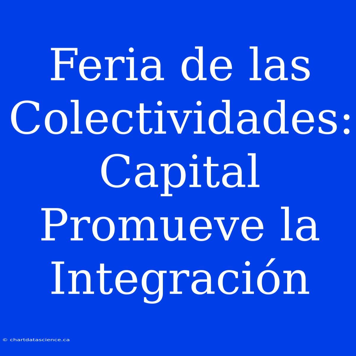 Feria De Las Colectividades: Capital Promueve La Integración