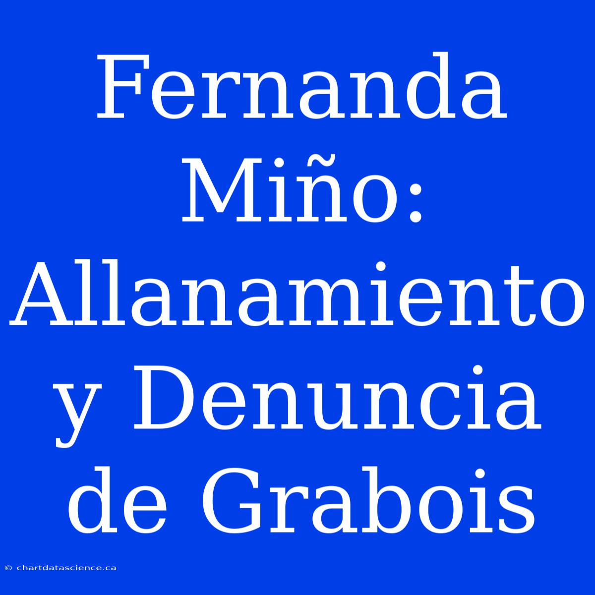 Fernanda Miño: Allanamiento Y Denuncia De Grabois