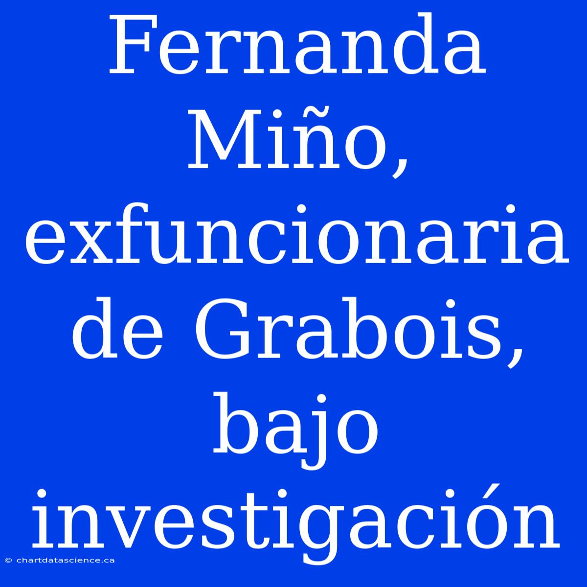 Fernanda Miño, Exfuncionaria De Grabois, Bajo Investigación