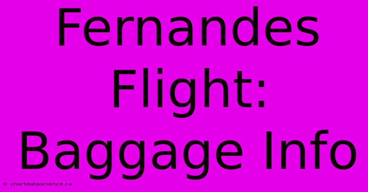 Fernandes Flight: Baggage Info