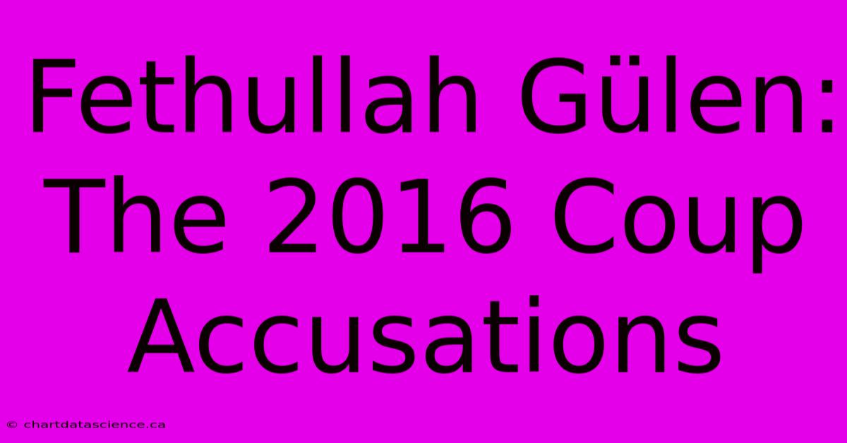 Fethullah Gülen: The 2016 Coup Accusations