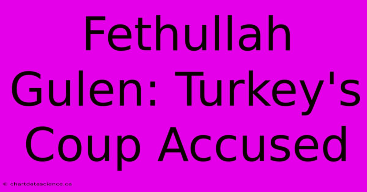 Fethullah Gulen: Turkey's Coup Accused