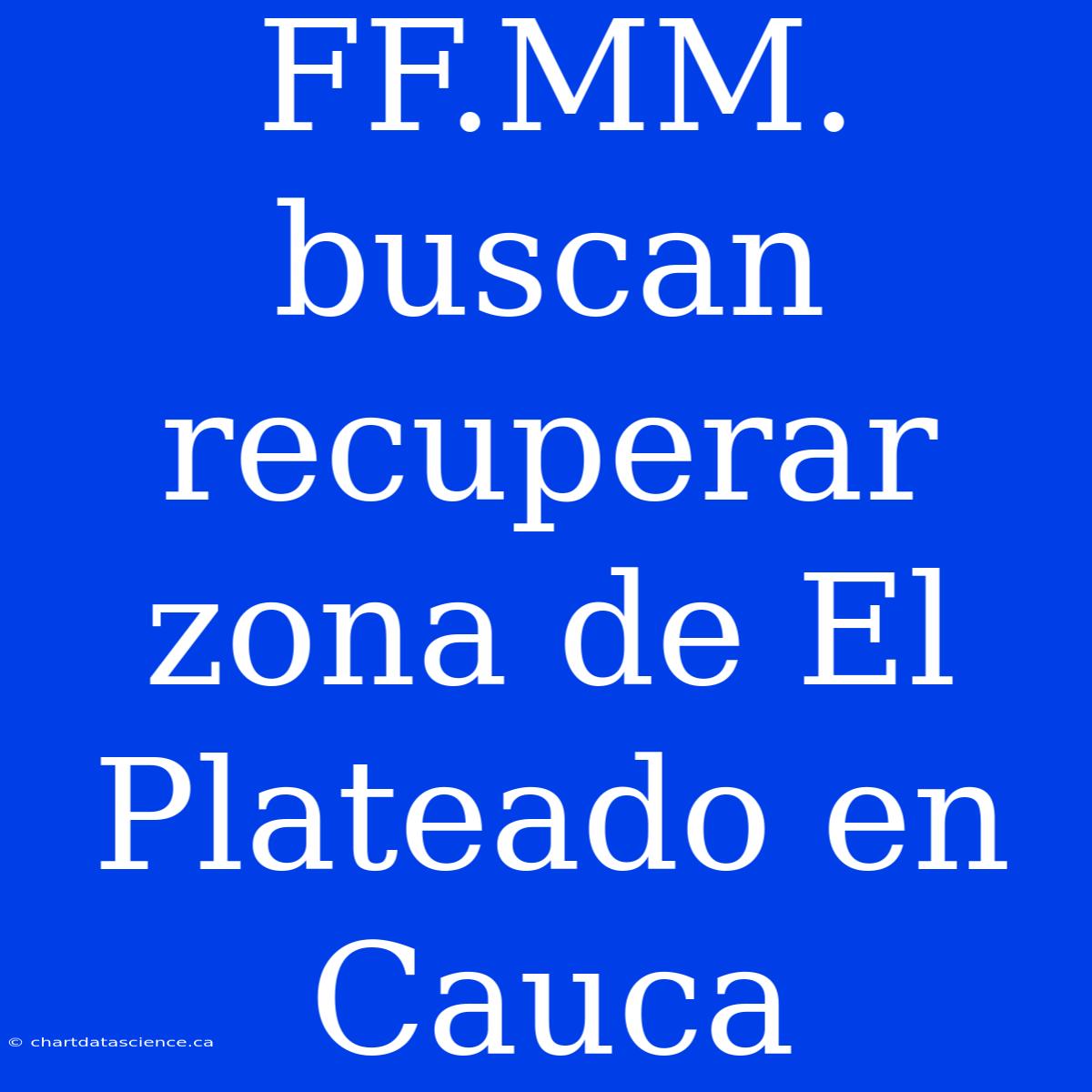 FF.MM. Buscan Recuperar Zona De El Plateado En Cauca