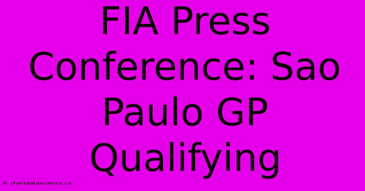 FIA Press Conference: Sao Paulo GP Qualifying