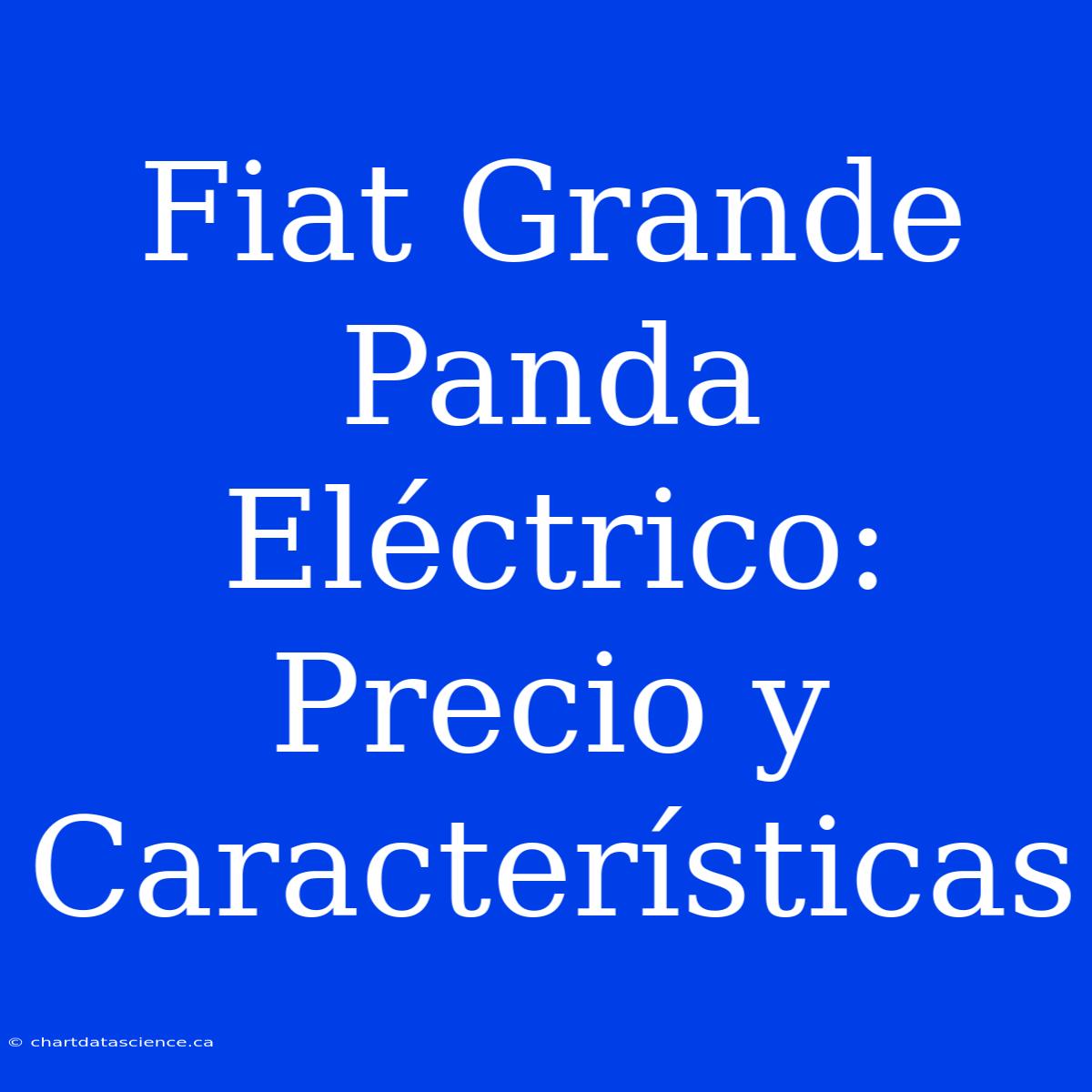 Fiat Grande Panda Eléctrico: Precio Y Características