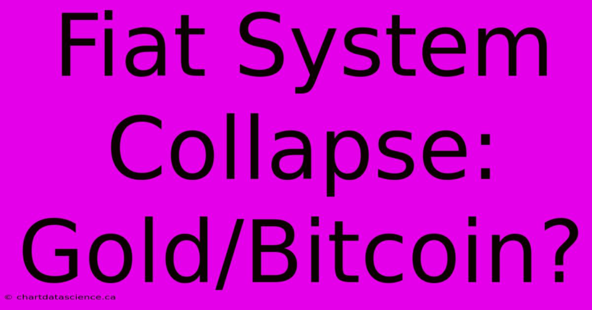 Fiat System Collapse: Gold/Bitcoin?