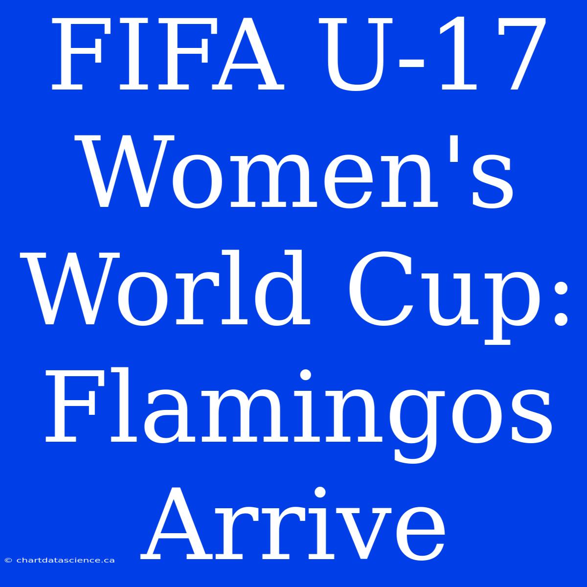 FIFA U-17 Women's World Cup: Flamingos Arrive