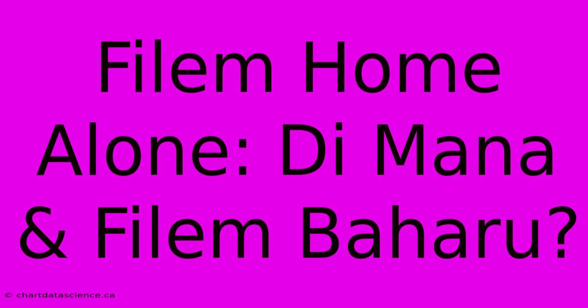 Filem Home Alone: Di Mana & Filem Baharu?