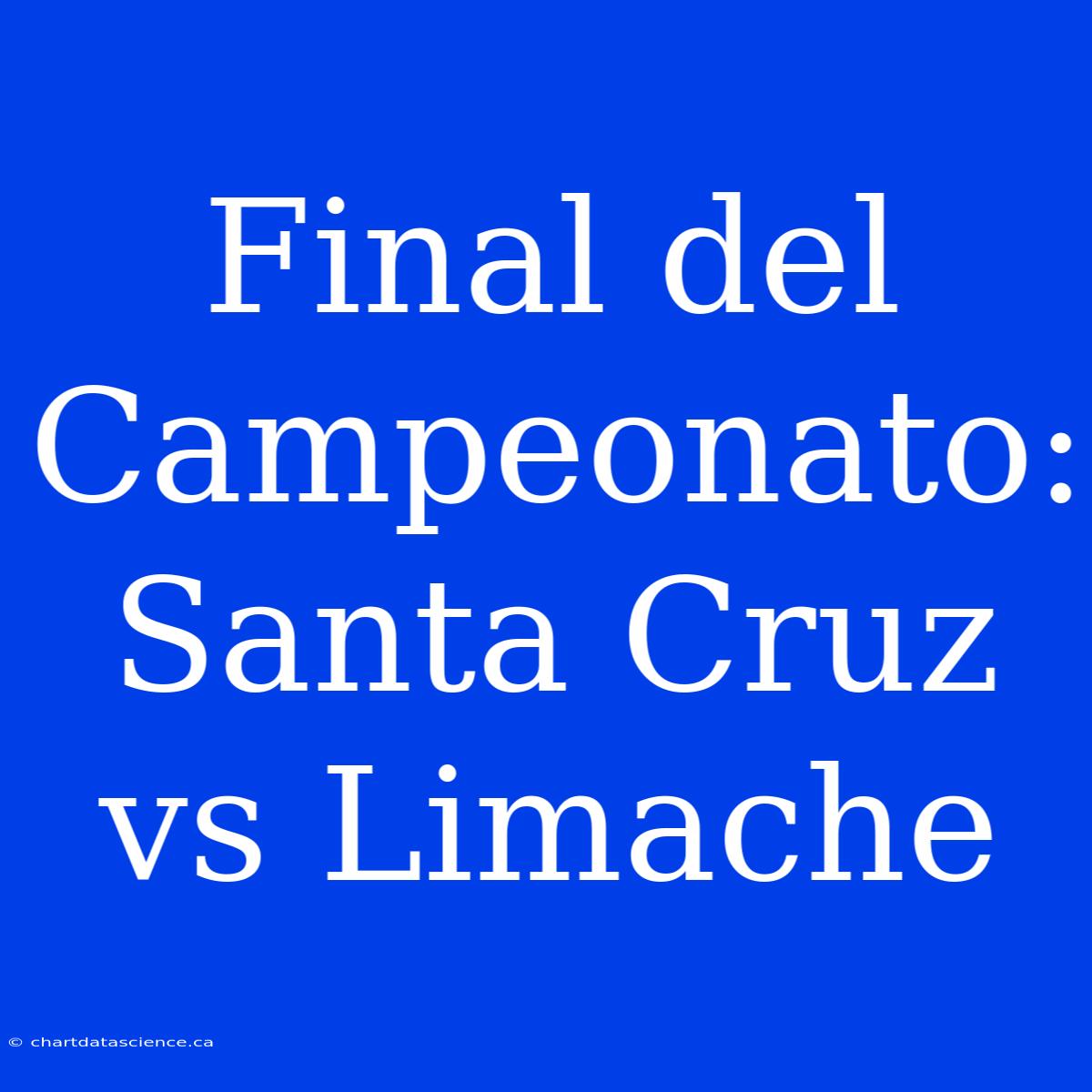 Final Del Campeonato: Santa Cruz Vs Limache