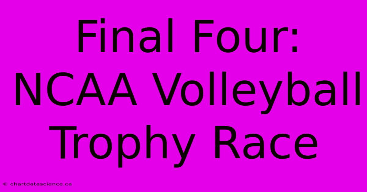 Final Four: NCAA Volleyball Trophy Race