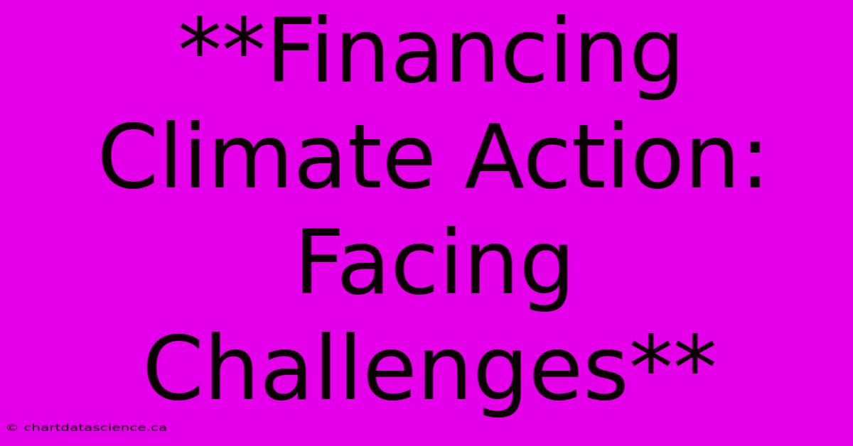 **Financing Climate Action: Facing Challenges** 