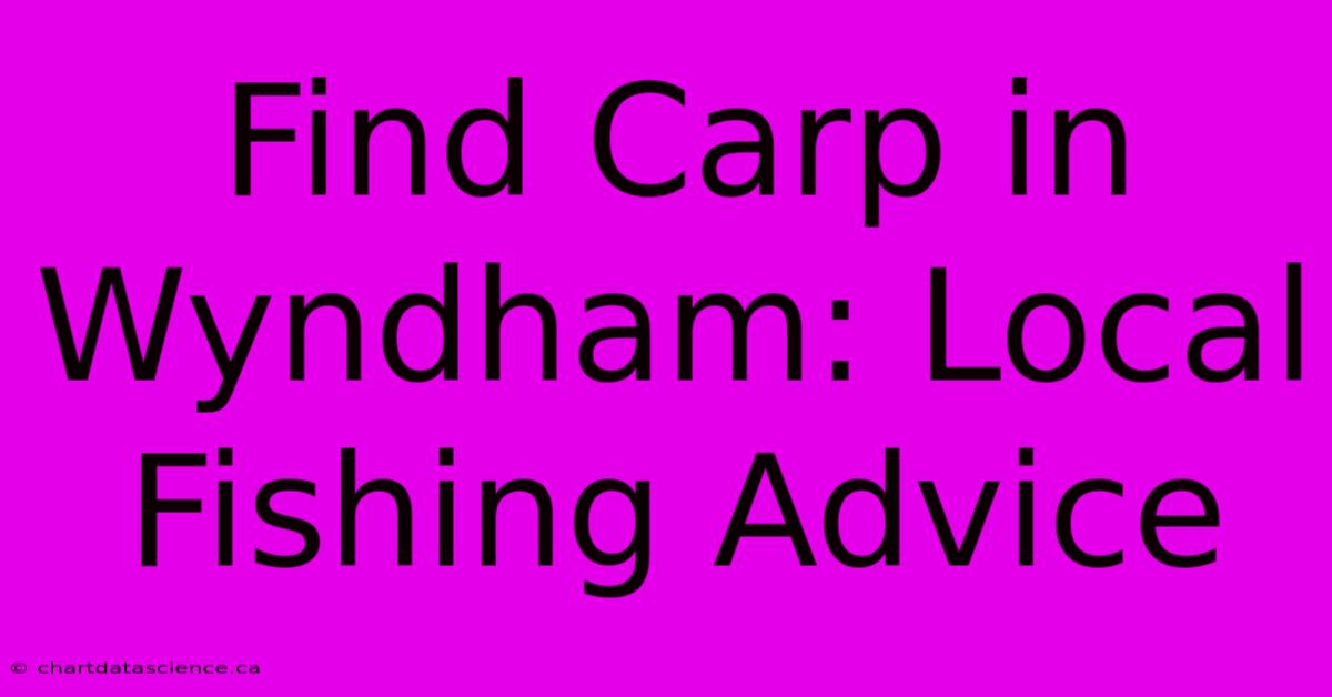 Find Carp In Wyndham: Local Fishing Advice 