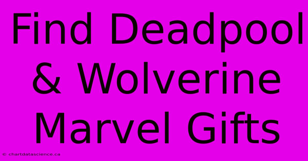 Find Deadpool & Wolverine Marvel Gifts 