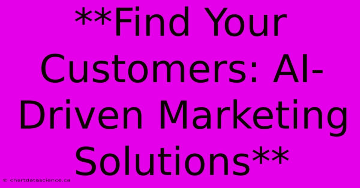 **Find Your Customers: AI-Driven Marketing Solutions** 