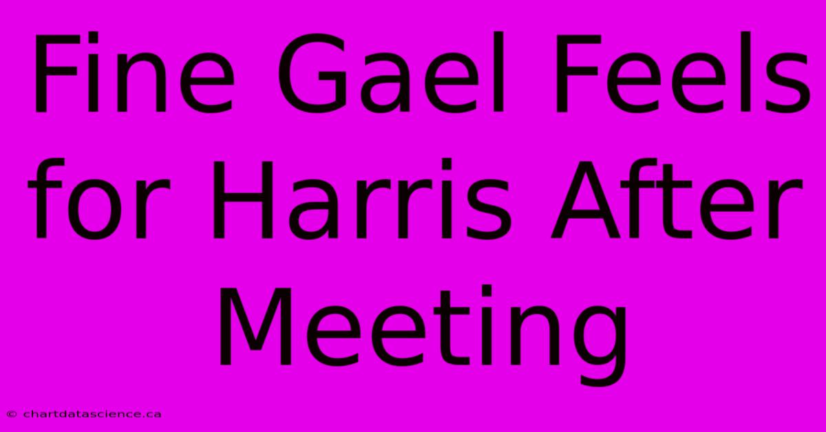 Fine Gael Feels For Harris After Meeting