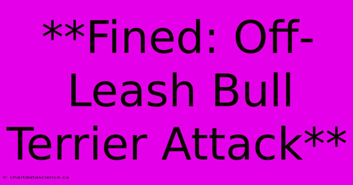 **Fined: Off-Leash Bull Terrier Attack**