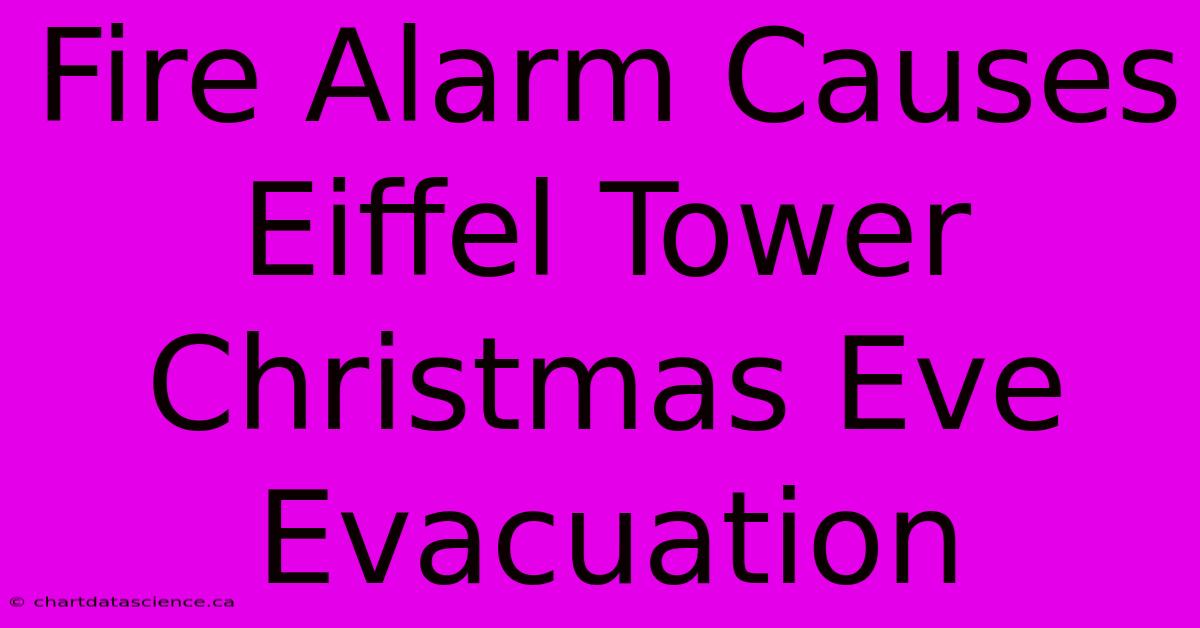 Fire Alarm Causes Eiffel Tower Christmas Eve Evacuation