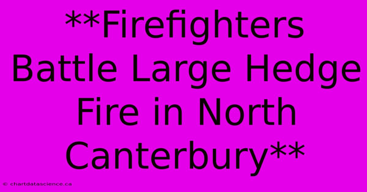 **Firefighters Battle Large Hedge Fire In North Canterbury**