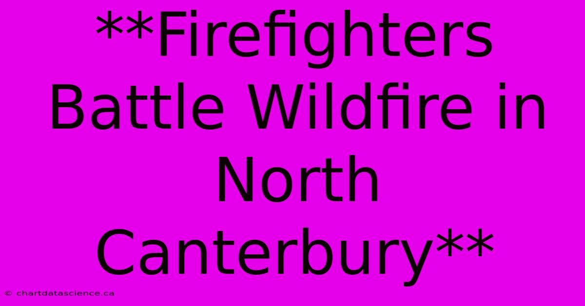 **Firefighters Battle Wildfire In North Canterbury**