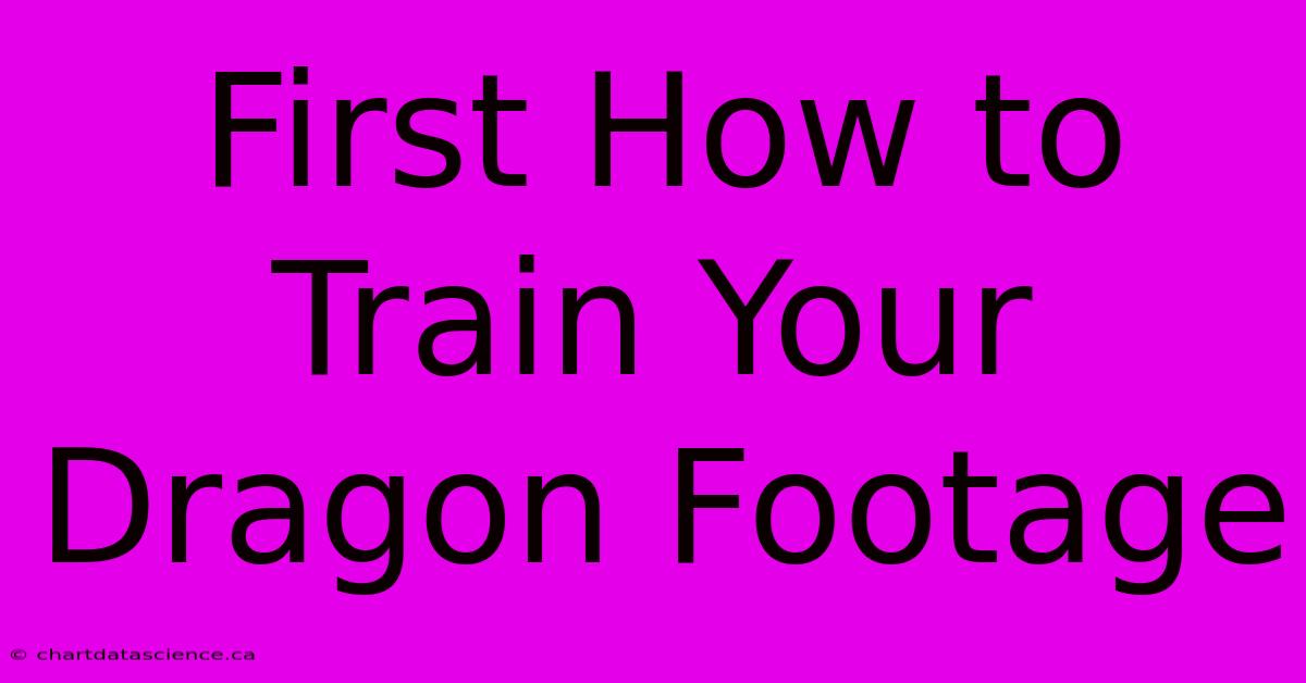 First How To Train Your Dragon Footage