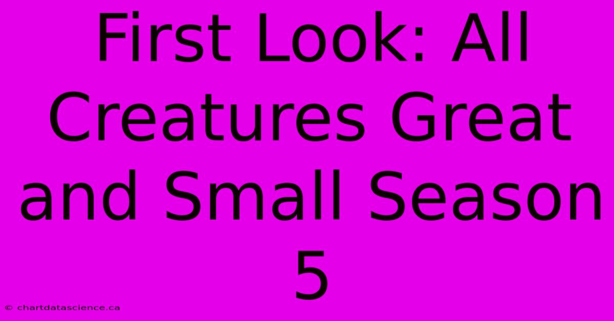 First Look: All Creatures Great And Small Season 5