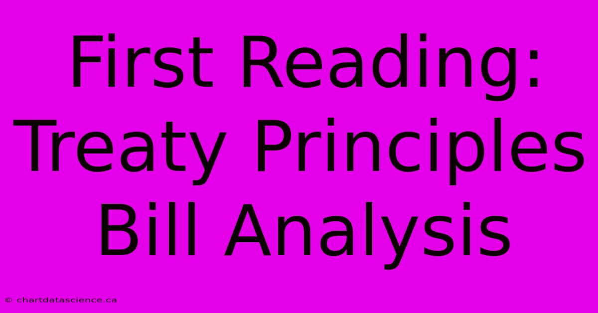 First Reading: Treaty Principles Bill Analysis 