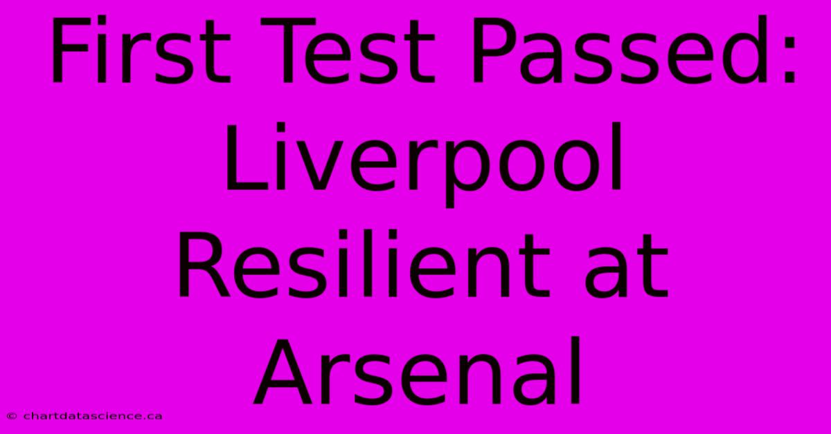 First Test Passed: Liverpool Resilient At Arsenal