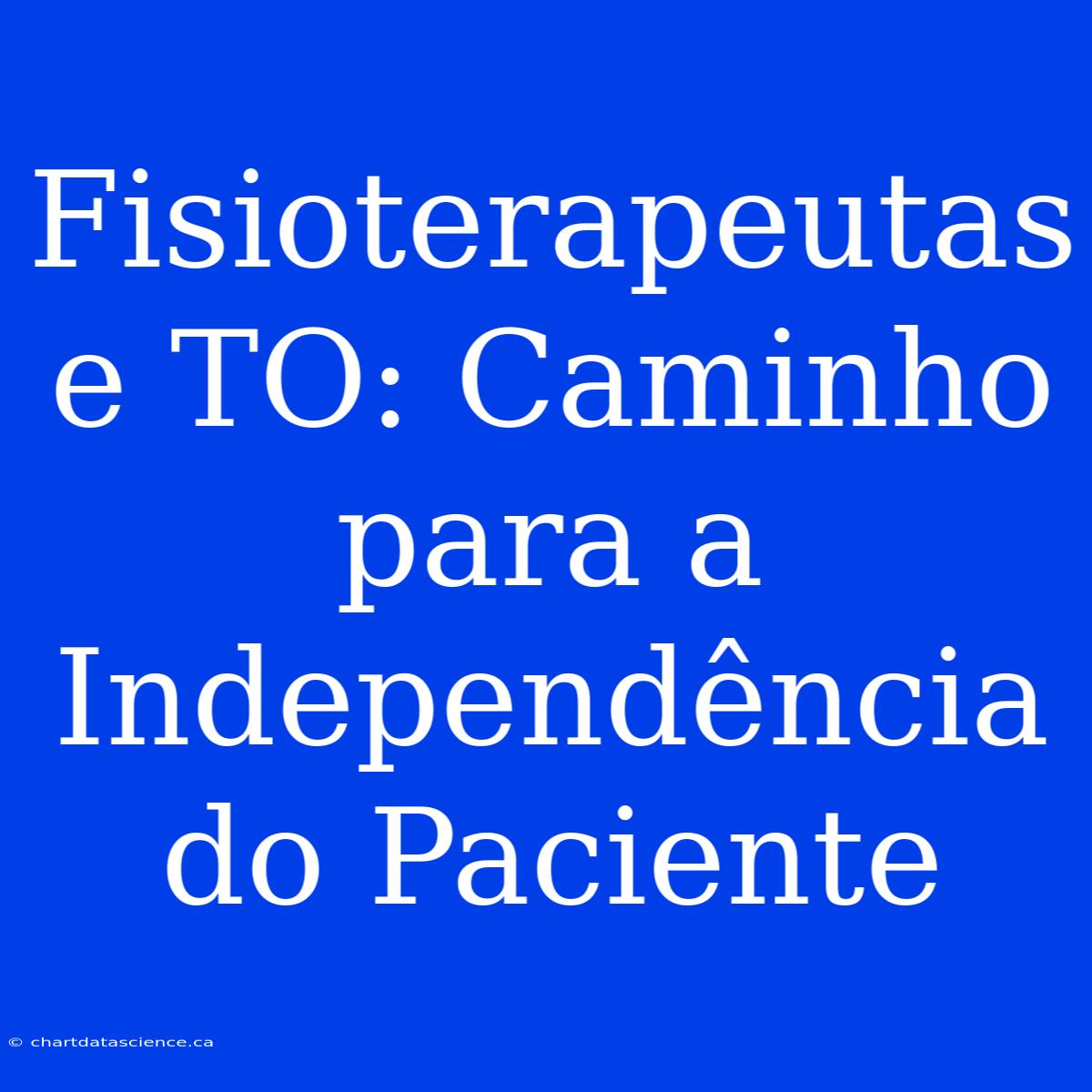 Fisioterapeutas E TO: Caminho Para A Independência Do Paciente