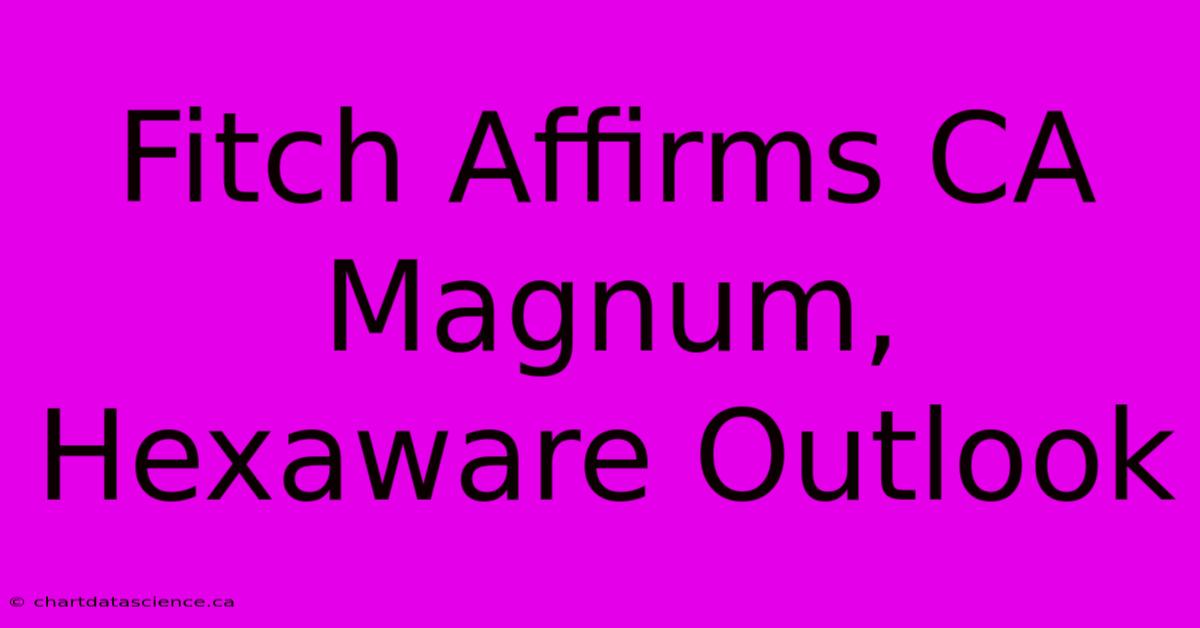 Fitch Affirms CA Magnum, Hexaware Outlook