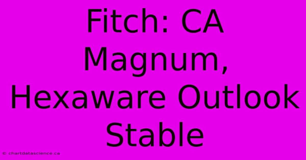 Fitch: CA Magnum, Hexaware Outlook Stable