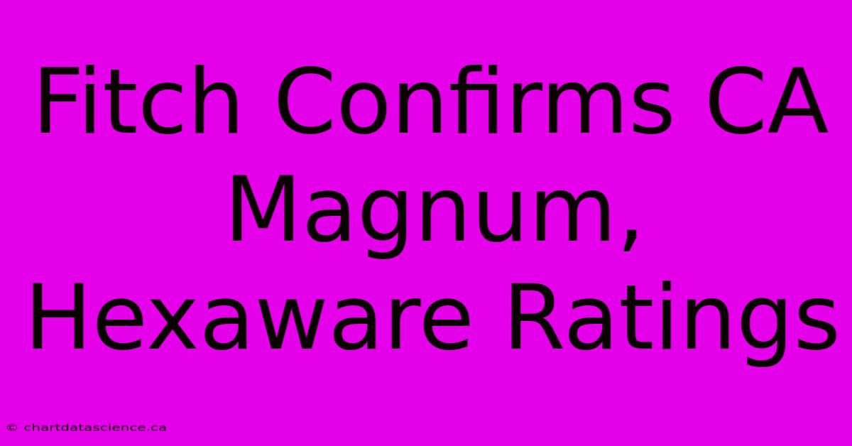 Fitch Confirms CA Magnum, Hexaware Ratings