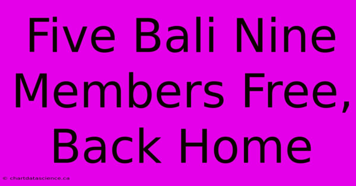 Five Bali Nine Members Free, Back Home