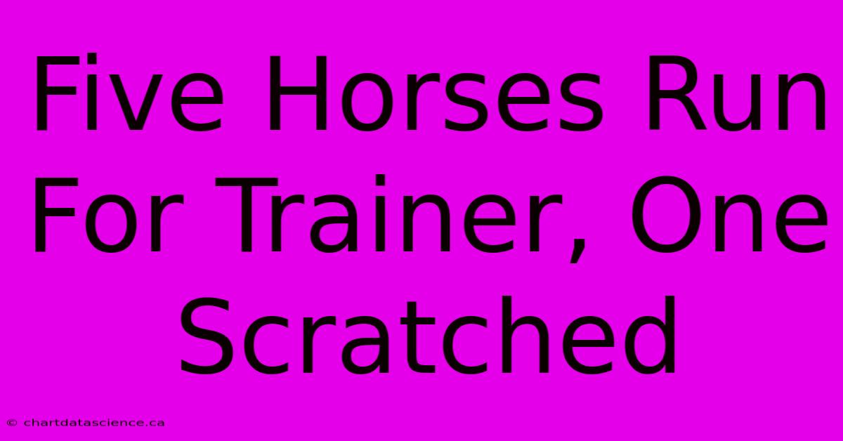 Five Horses Run For Trainer, One Scratched 