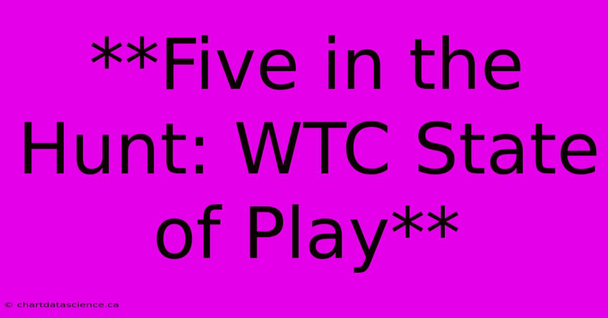 **Five In The Hunt: WTC State Of Play**