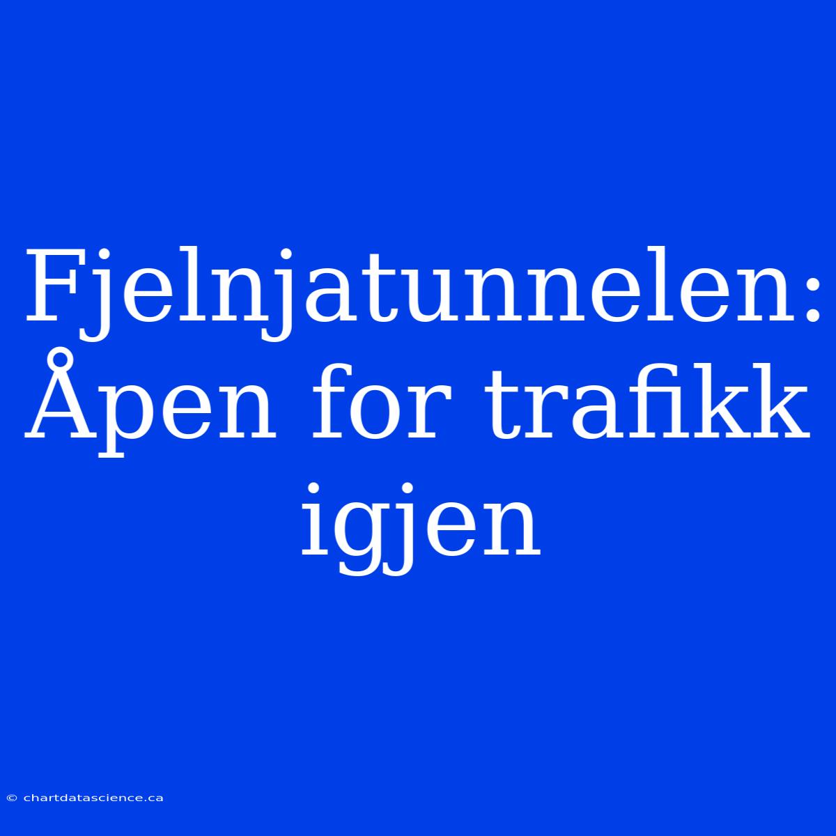 Fjelnjatunnelen: Åpen For Trafikk Igjen