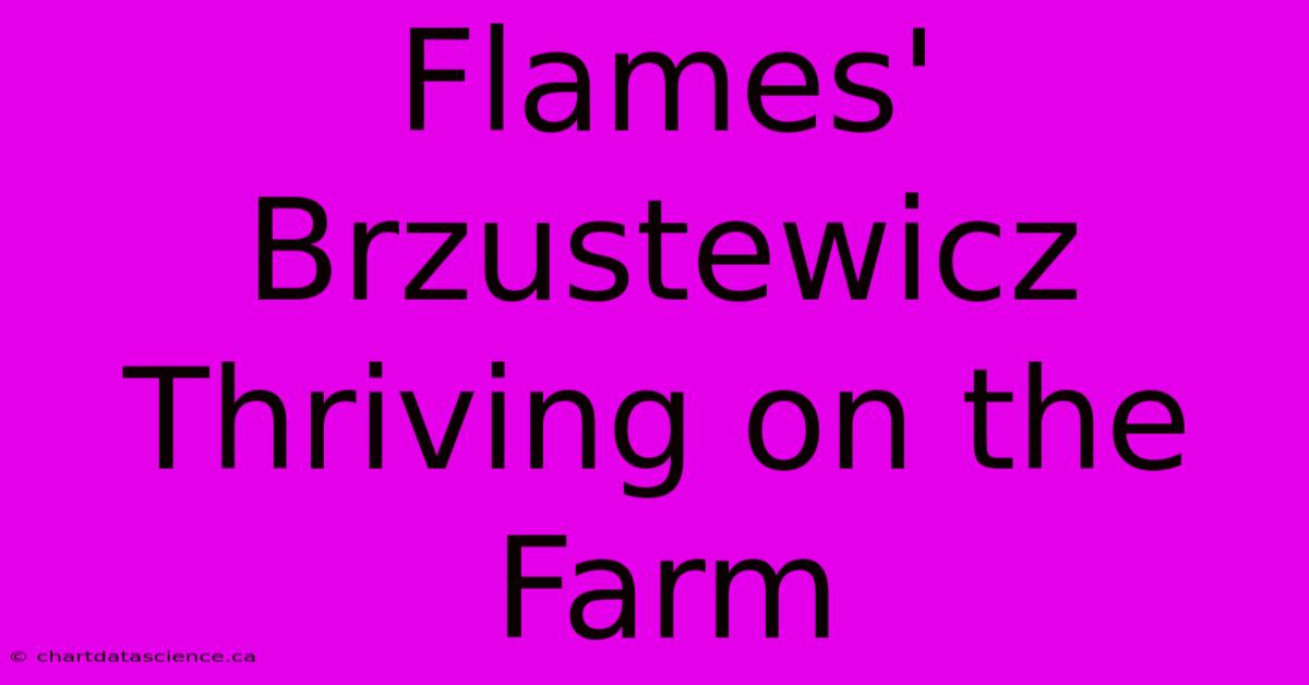 Flames' Brzustewicz Thriving On The Farm