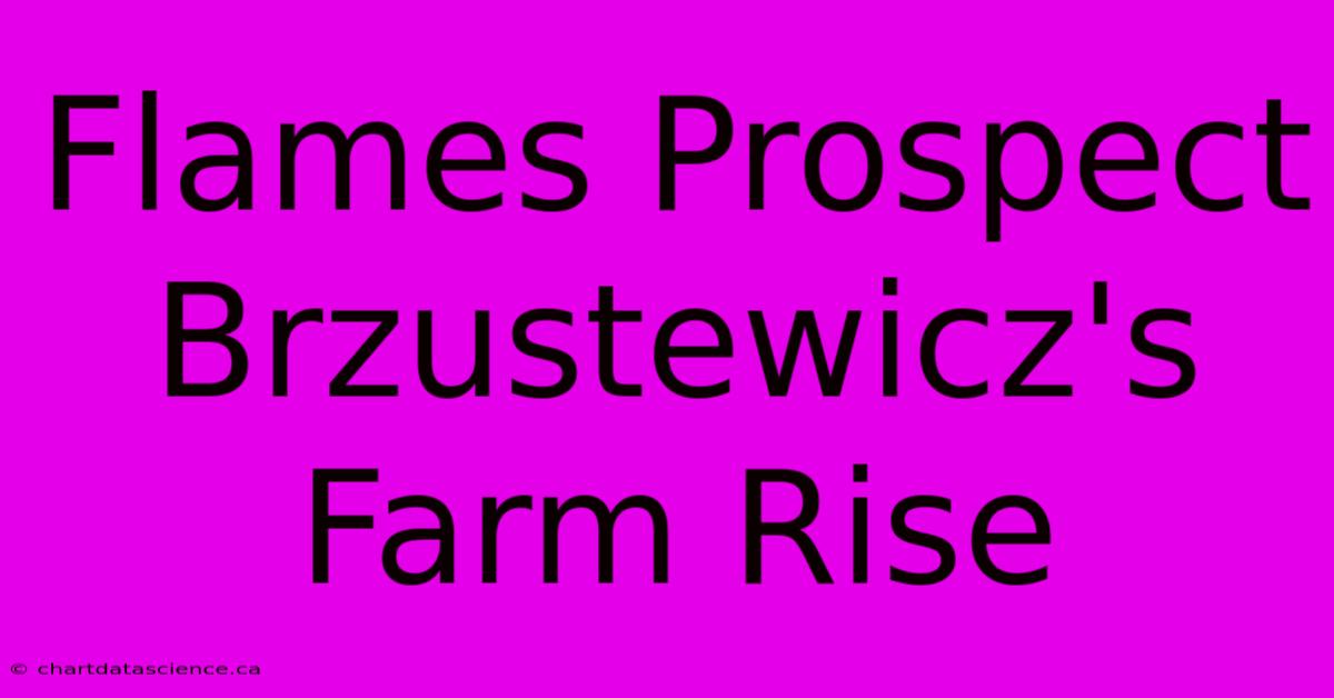 Flames Prospect Brzustewicz's Farm Rise