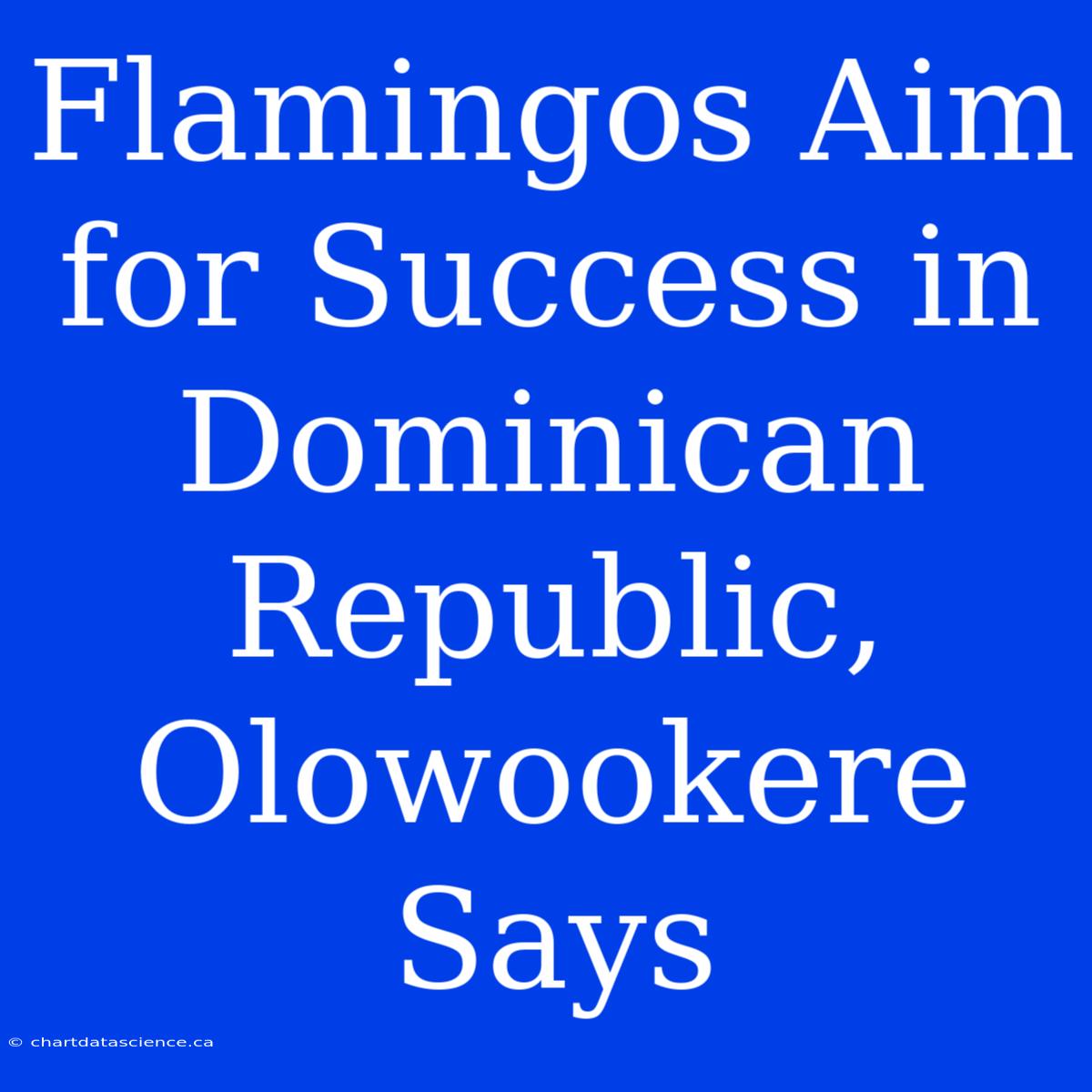 Flamingos Aim For Success In Dominican Republic, Olowookere Says