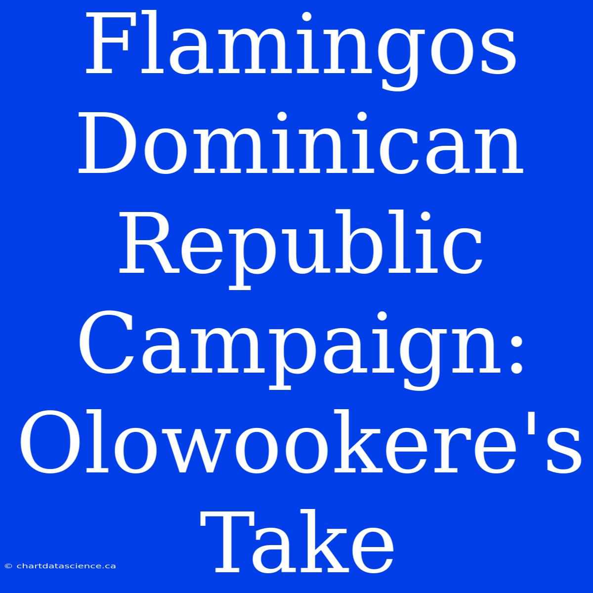 Flamingos Dominican Republic Campaign: Olowookere's Take