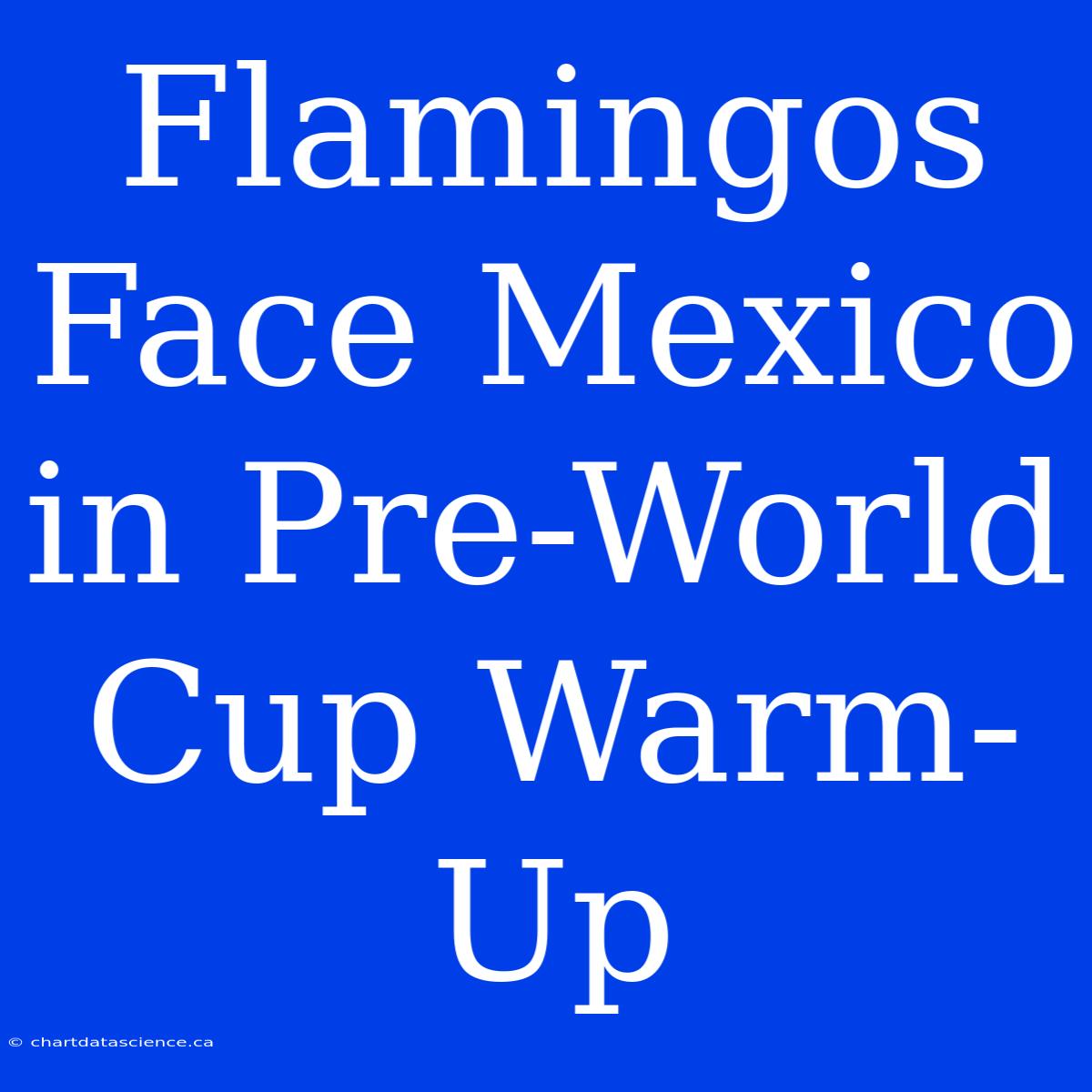 Flamingos Face Mexico In Pre-World Cup Warm-Up