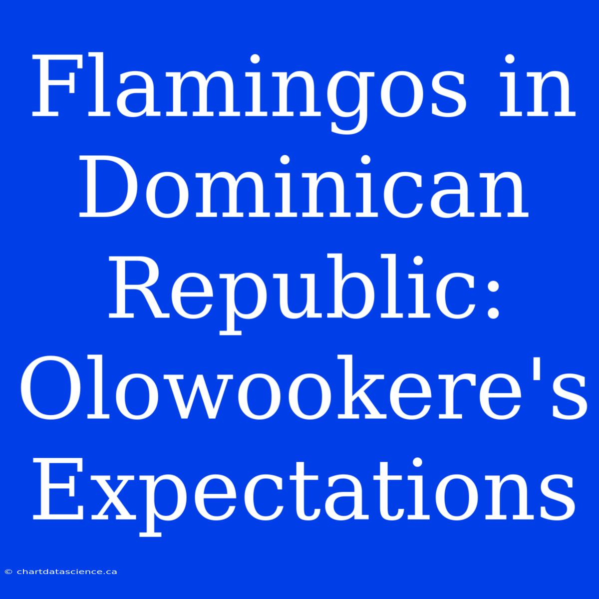 Flamingos In Dominican Republic: Olowookere's Expectations