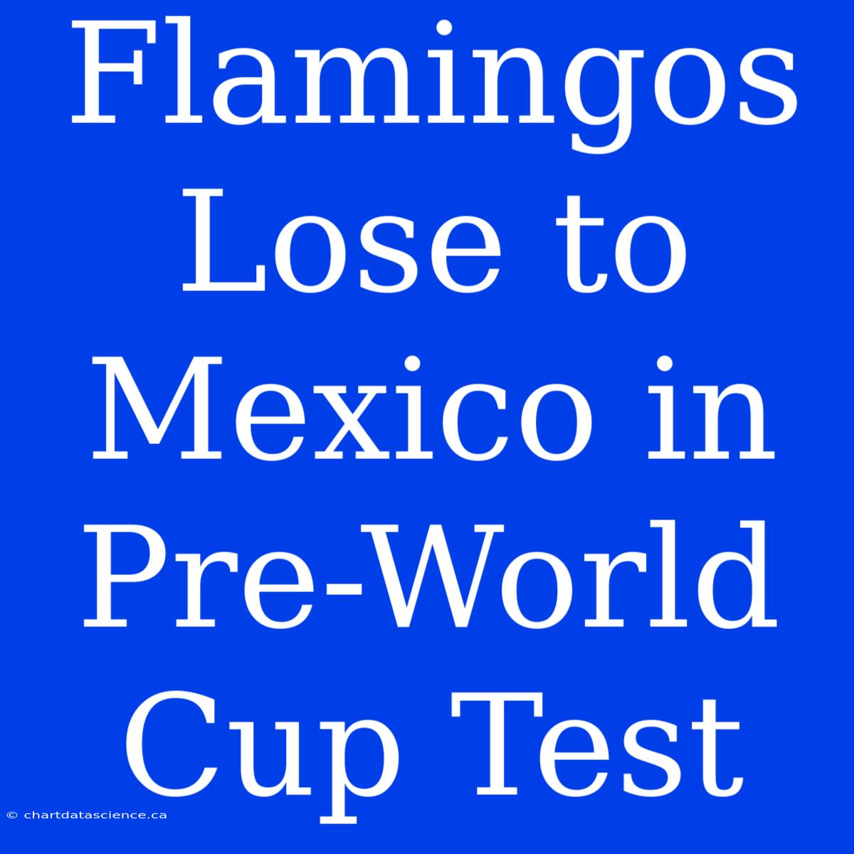 Flamingos Lose To Mexico In Pre-World Cup Test