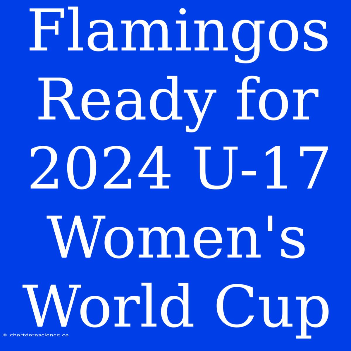 Flamingos Ready For 2024 U-17 Women's World Cup